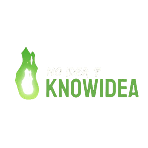 KnowIdea Logo